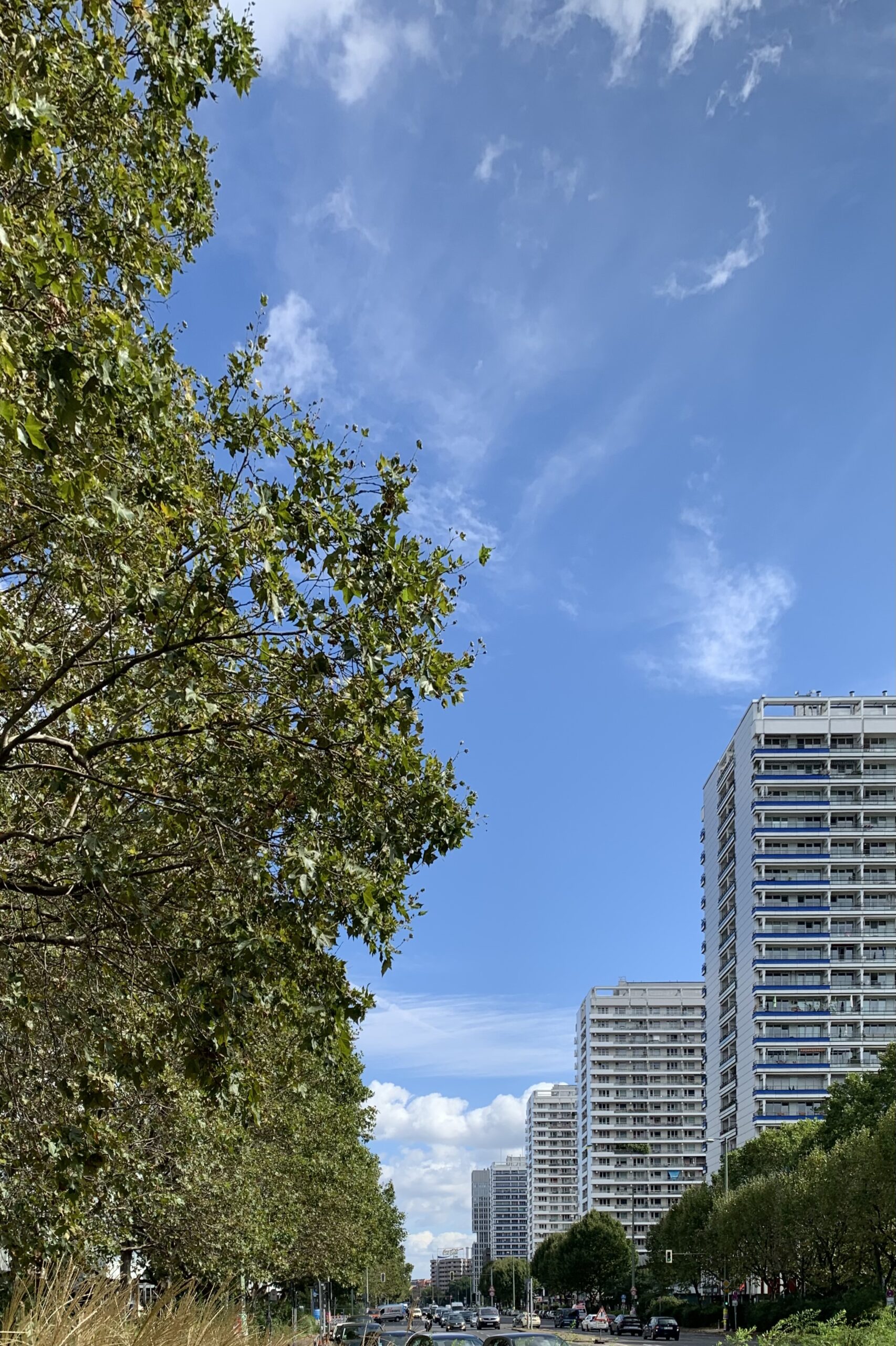 Ministerin wirbt für „Bau-Turbo“ – Branchenvertreter äußern Skepsis