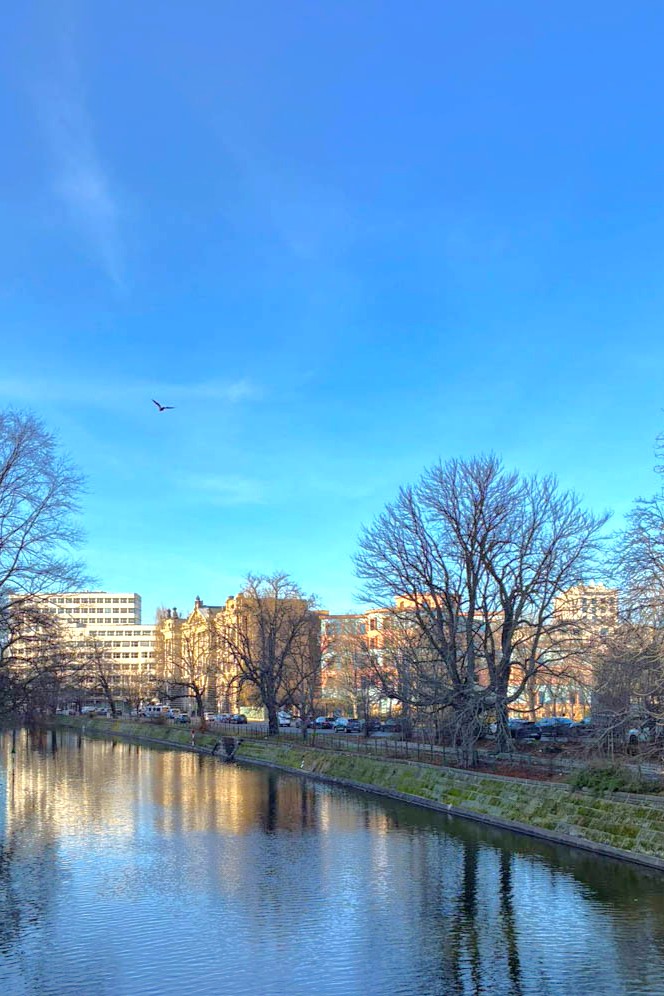 Einwohnerzahl Berlins stieg 2025 auf mehr als 3,9 Millionen